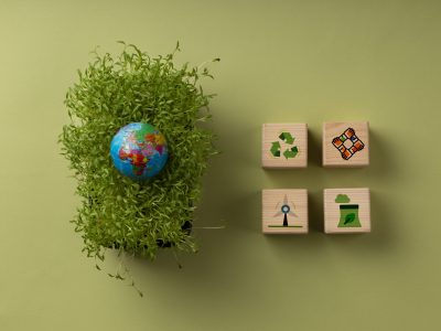 sustainable-development-goals-still-life