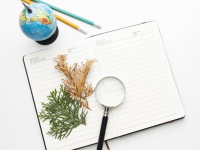 top-vie-plants-notebook